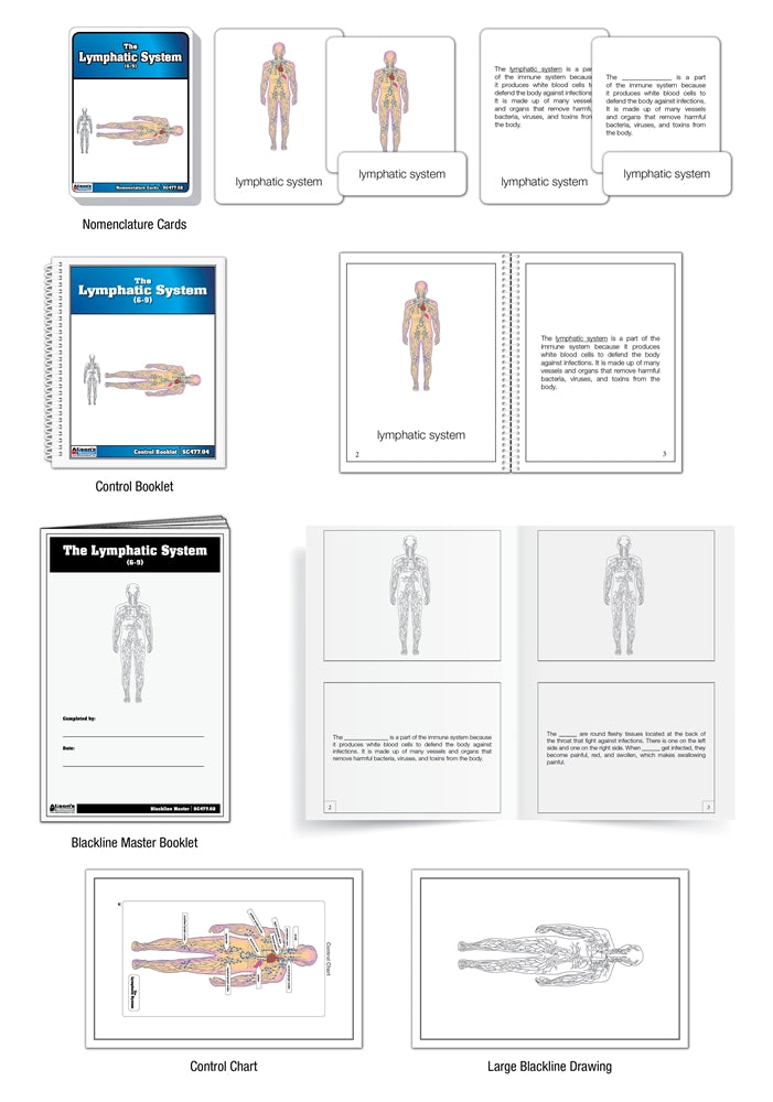 The Lymphatic System Puzzle with Nomenclature Cards (6-9)