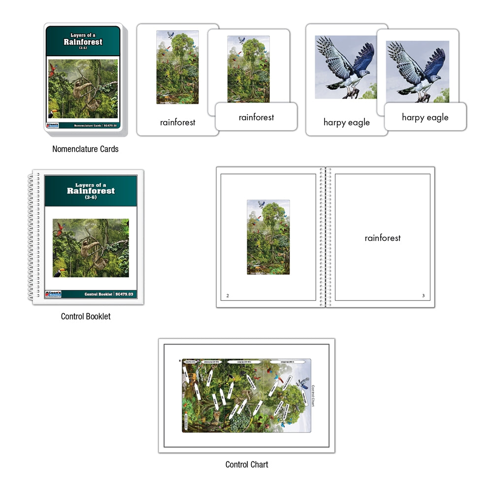 Layers of a Rainforest (Nomenclature Cards) (3-6) (Printed)