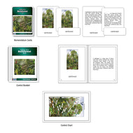 Layers of a Rainforest (Nomenclature Cards) (6-9) (Printed)