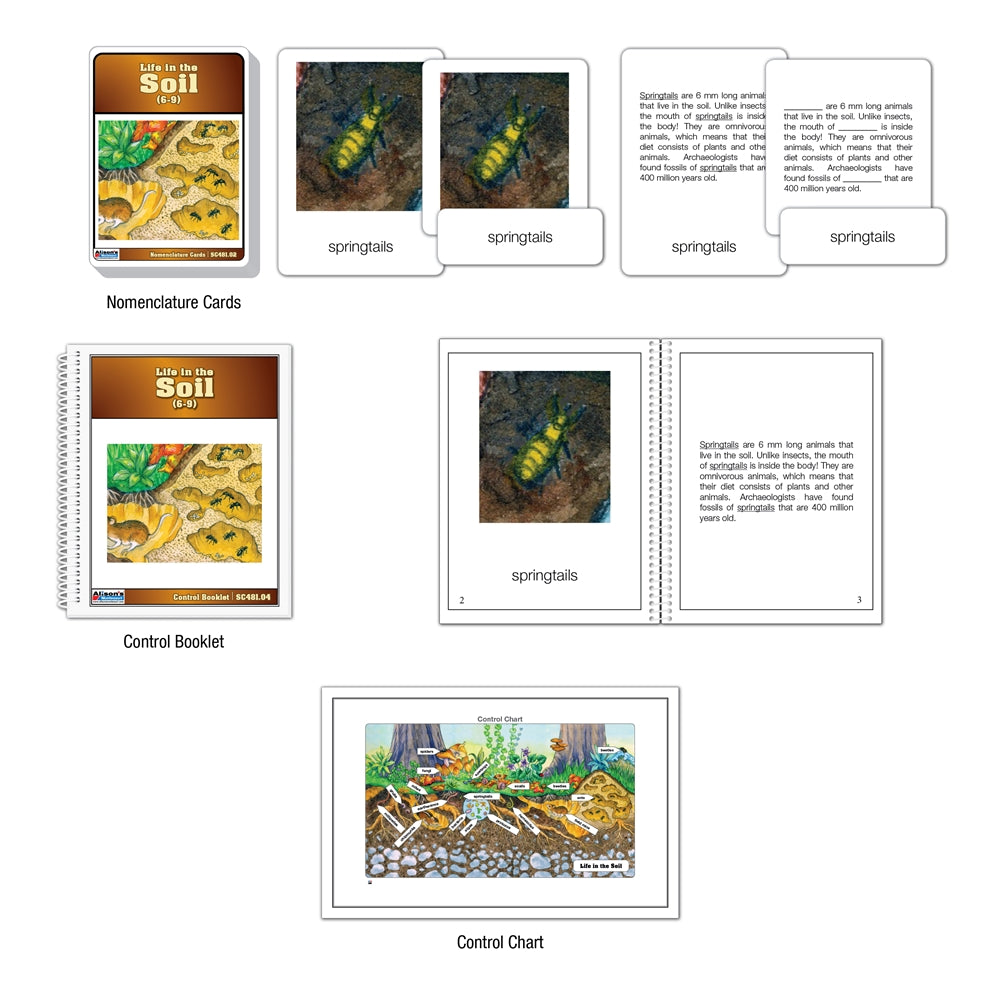 Life in the Soil Nomenclature Cards (6-9) (Printed)