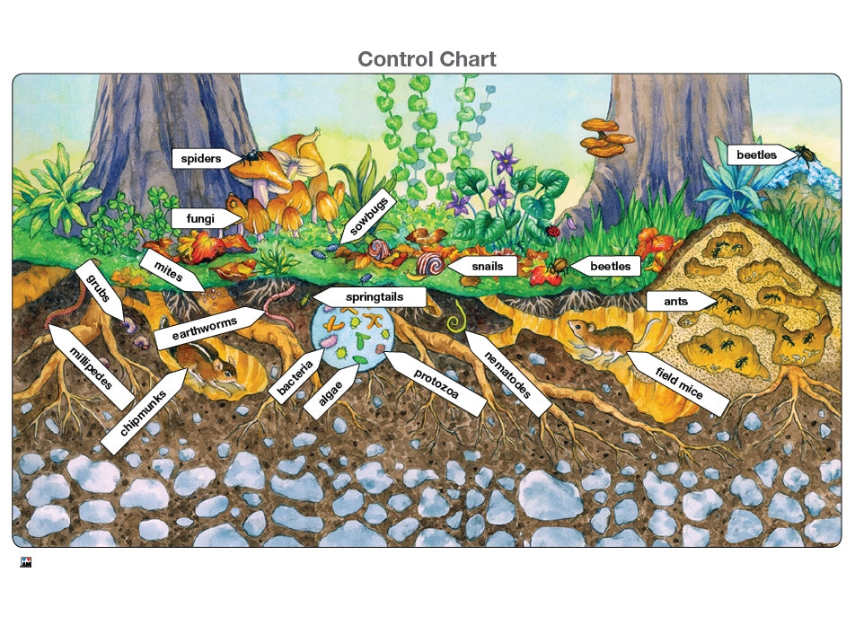 Life in the Soil Puzzle with Nomenclature Cards (6-9) (Printed)