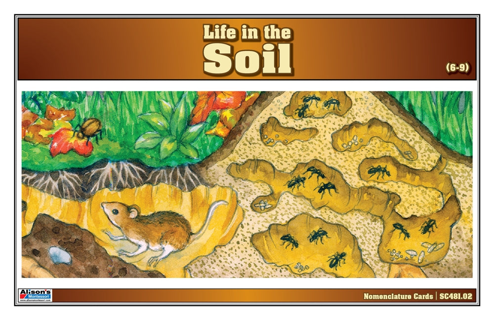 Life in the Soil Puzzle with Nomenclature Cards (6-9) (Printed)