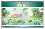 Life in a Pond Nomenclature Cards (6-9) (Printed)