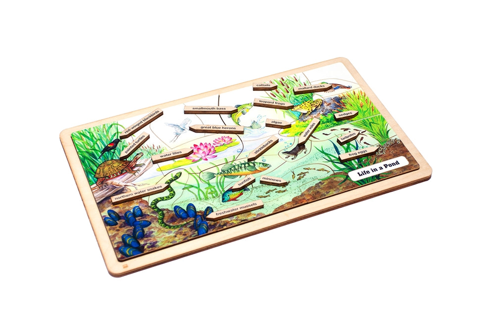 Life in a Pond Puzzle with Nomenclature Cards (6-9) (Printed)