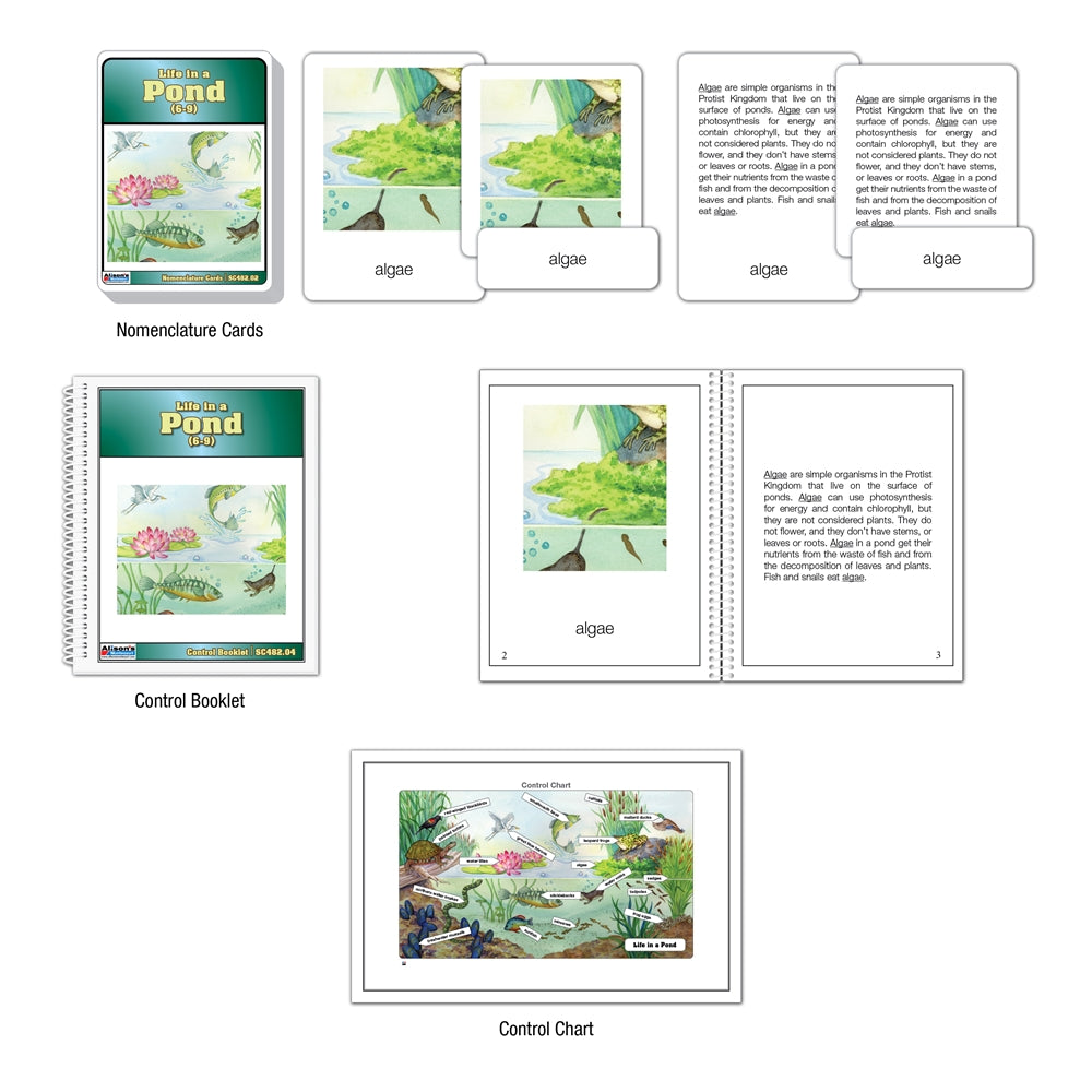 Life in a Pond Puzzle with Nomenclature Cards (6-9) (Printed)