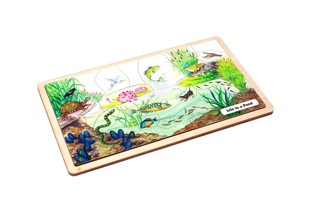 Life in a Pond Puzzle