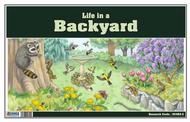 Life in a Backyard Chart