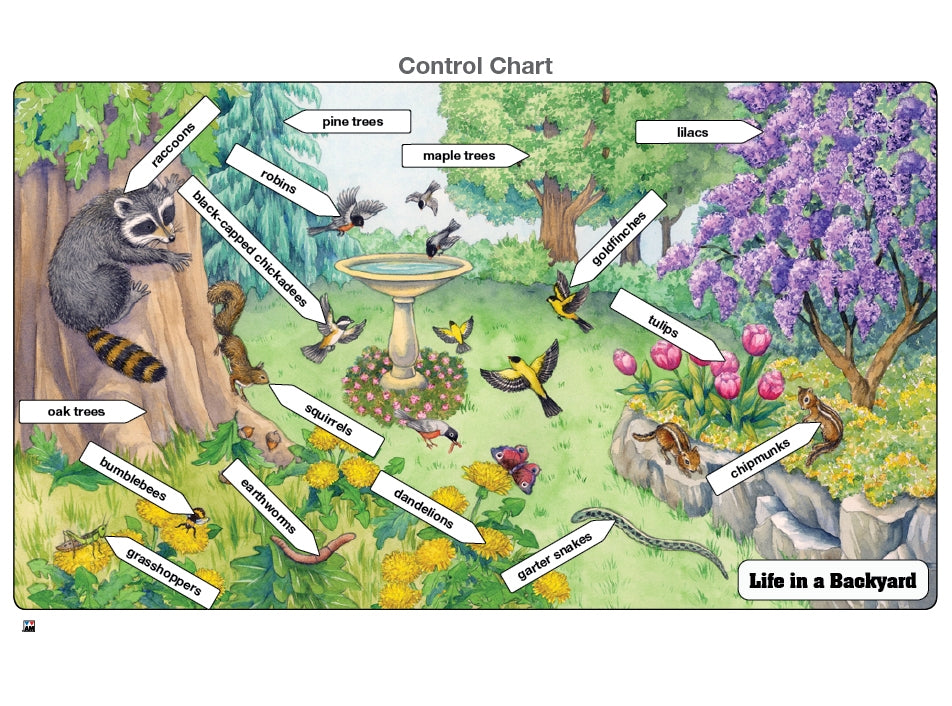 Life in a Backyard Puzzle with Nomenclature Cards (6-9) (Printed)