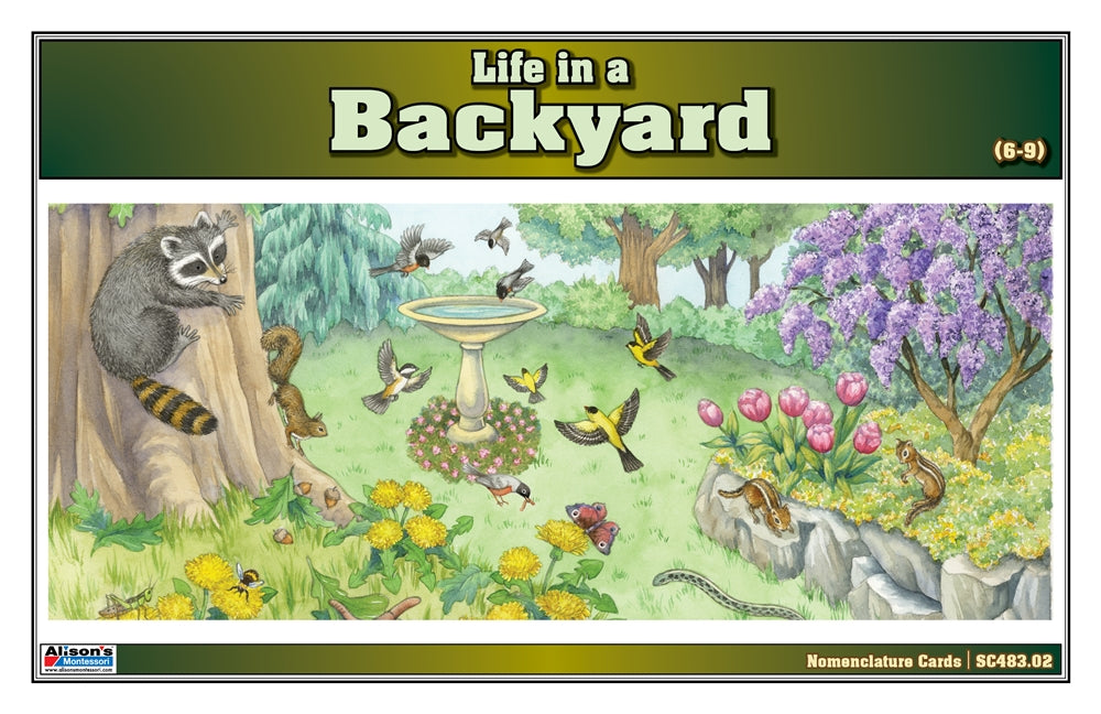 Life in a Backyard Puzzle with Nomenclature Cards (6-9) (Printed)