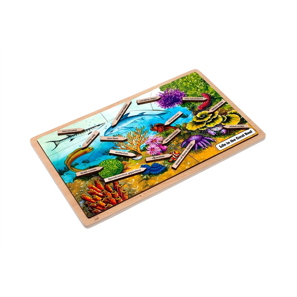 Life in the Coral Reef Puzzle with Nomenclature Cards (6-9)