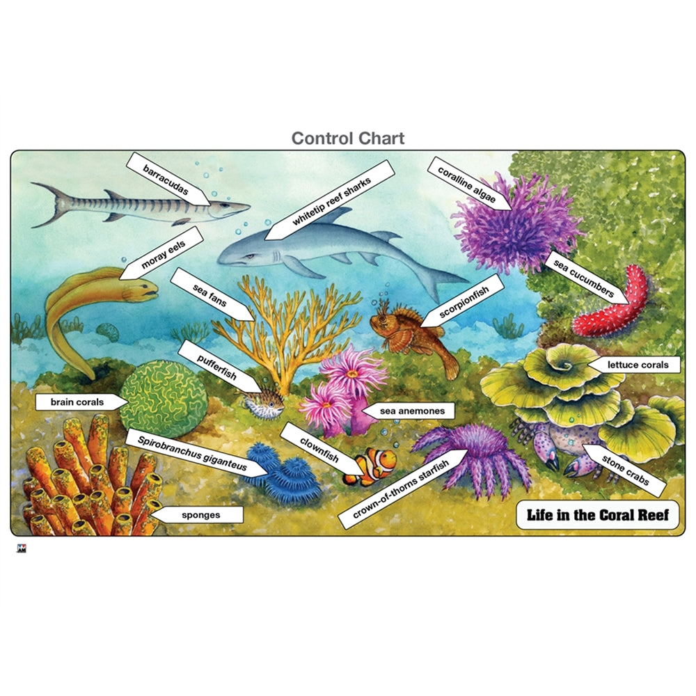 Life in the Coral Reef Puzzle with Nomenclature Cards (6-9)