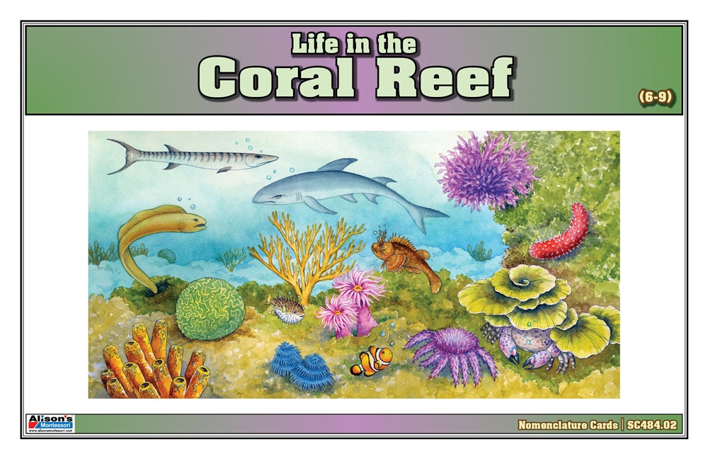 Life in the Coral Reef Puzzle with Nomenclature Cards (6-9)