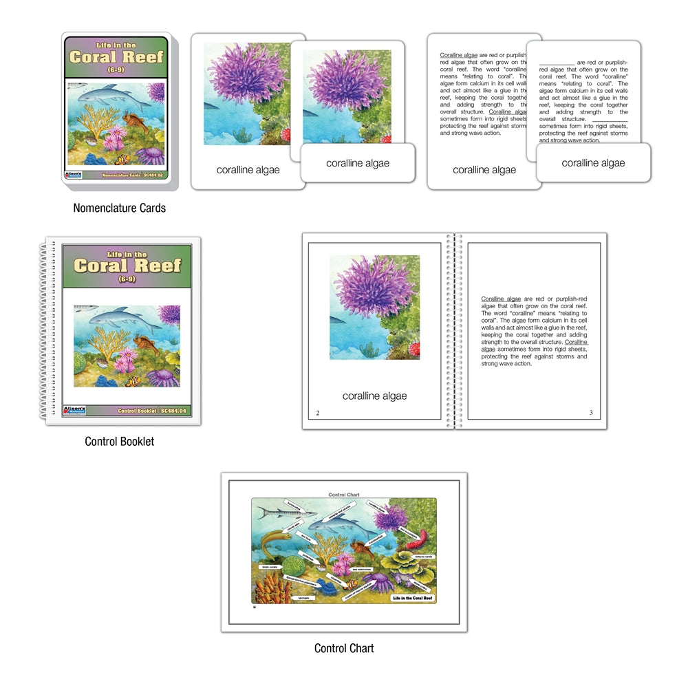 Life in the Coral Reef Puzzle with Nomenclature Cards (6-9)