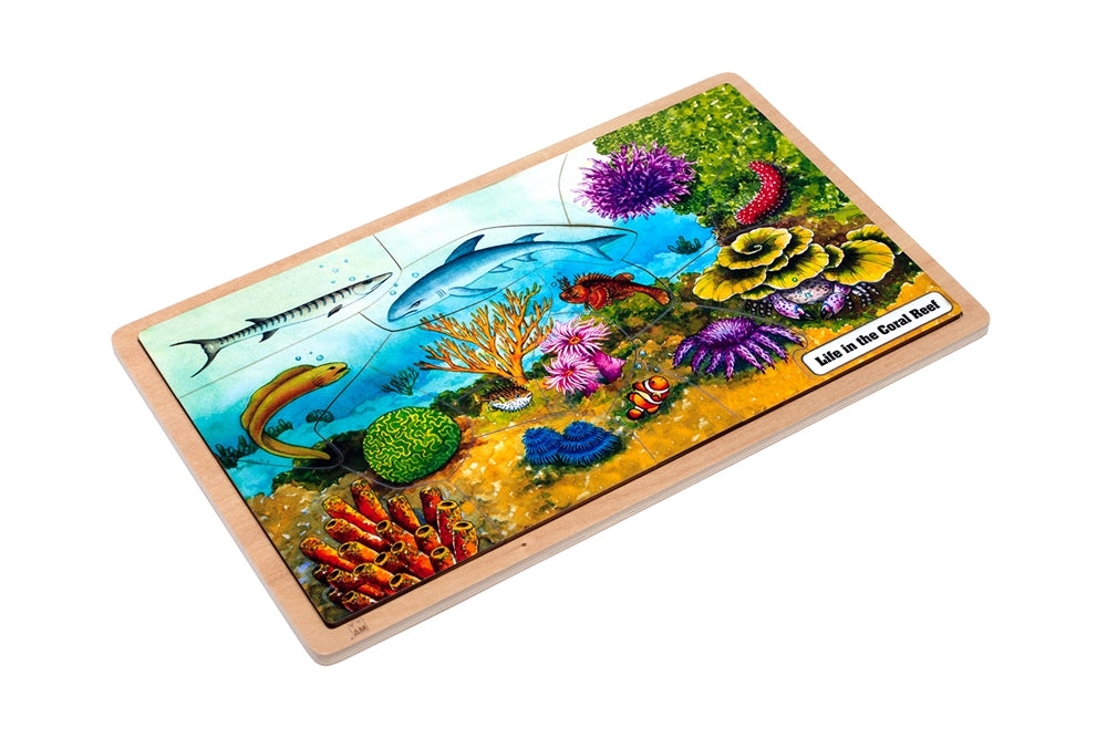 Life in the Coral Reef Puzzle