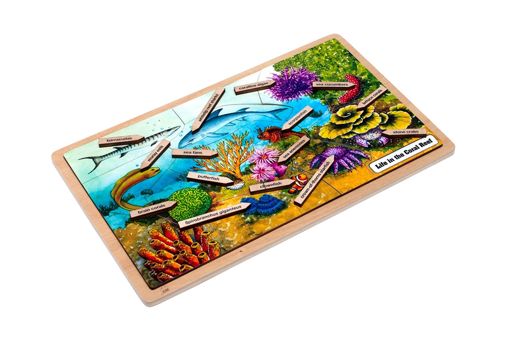 Life in the Coral Reef Puzzle