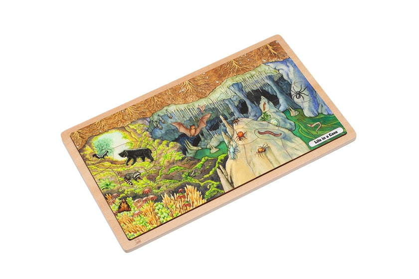 Life in a Cave Puzzle