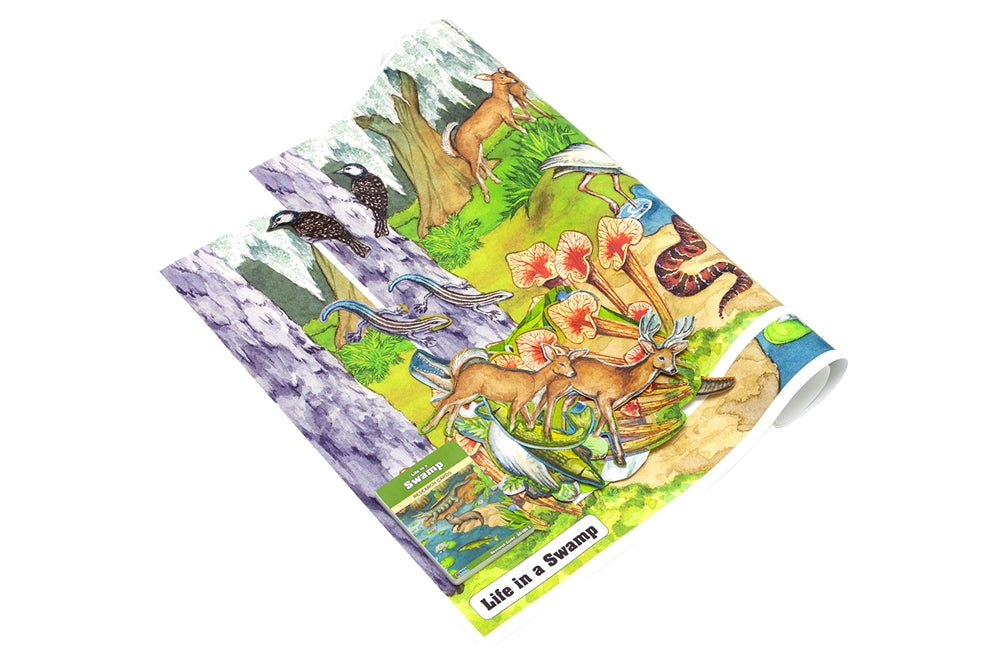 Life in a Swamp Chart