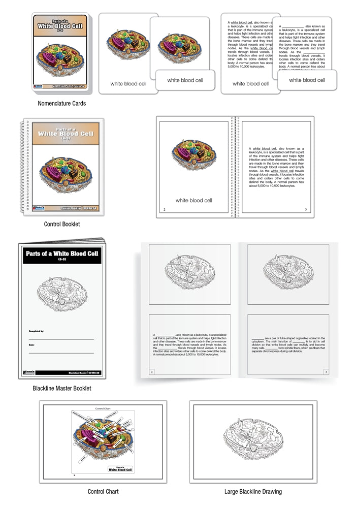 Parts of a White Blood Cell Nomenclature Cards (6-9) (Printed)