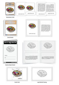 Parts of a White Blood Cell Nomenclature Cards (6-9) (Printed)