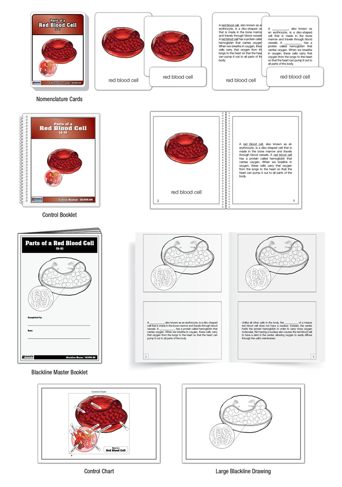 Parts of a Red Blood Cell Nomenclature Cards (6-9) (Printed)