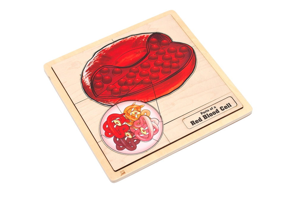 Parts of a Red Blood Cell Puzzle with Nomenclature Cards (6-9) (Printed)