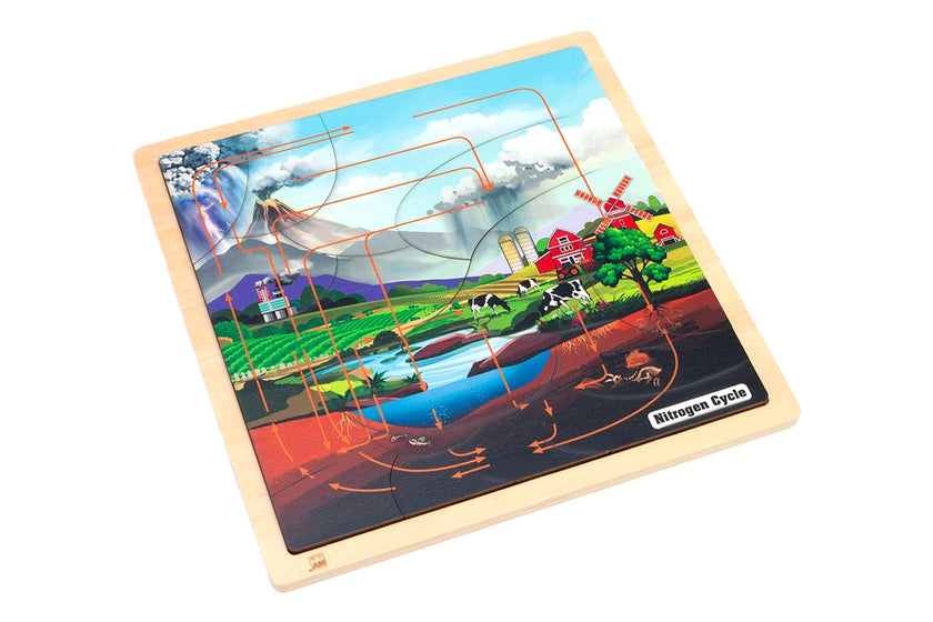 The Nitrogen Cycle Puzzle