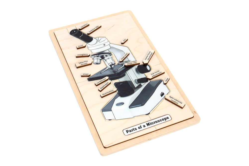 Parts of a Microscope Puzzle with Nomenclature Cards (6-9)