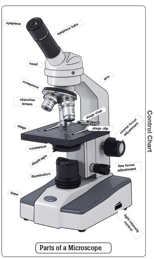 Parts of a Microscope Puzzle with Nomenclature Cards (6-9)