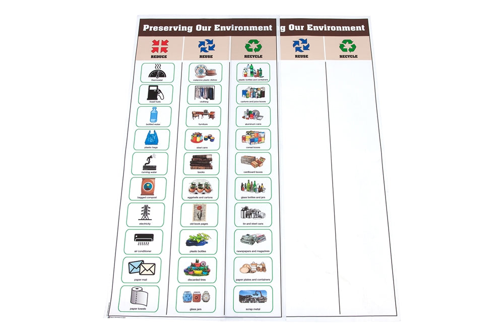 Preserving Our Environment Chart with Cards