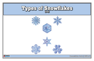 Types of Snowflakes Nomenclature Cards 3-6 (Printed)