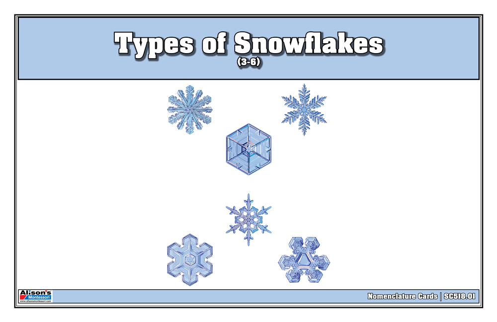Types of Snowflakes Nomenclature Cards 3-6 (Printed)