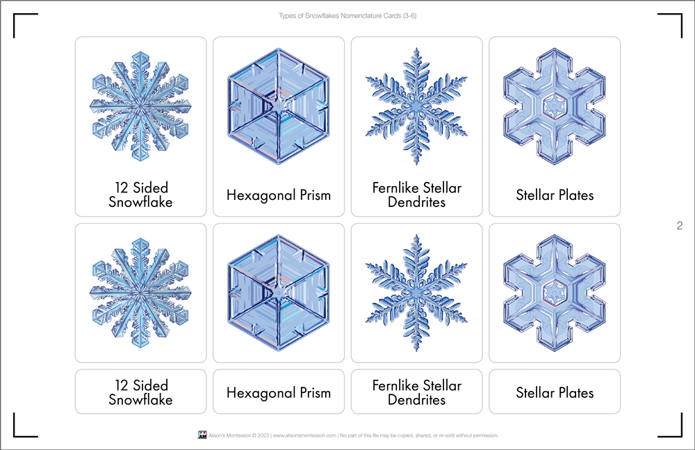 Types of Snowflakes Nomenclature Cards 3-6 (Printed)