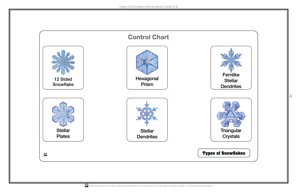 Types of Snowflakes Nomenclature Cards 3-6 (Printed)