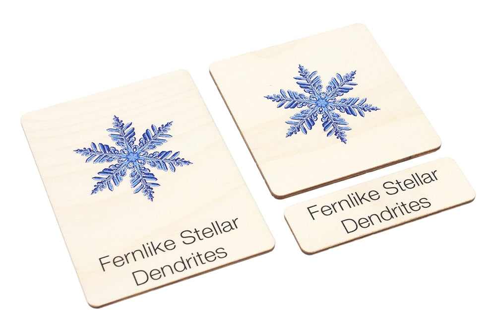 Types of Snowflakes Wooden Nomenclature Cards (3-6)