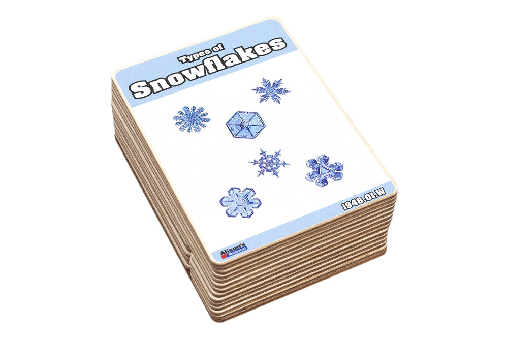 Types of Snowflakes Wooden Nomenclature Cards (3-6)