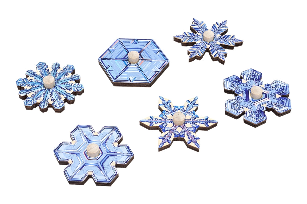 Types of Snowflakes Puzzle