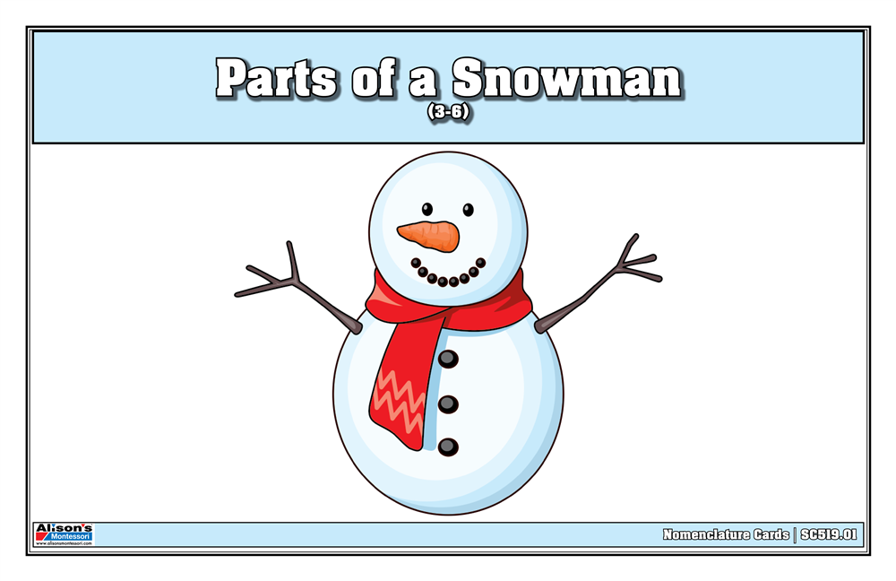 Parts of a Snowman Nomenclature Cards 3-6 (Printed)
