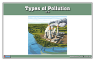 Types of Pollution Nomenclature Cards (6-9)