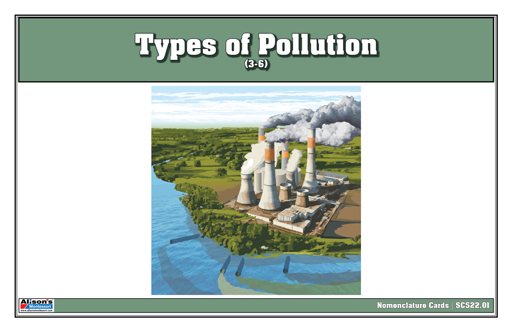 Types of Pollution Puzzle with Nomenclature Cards (3-6)