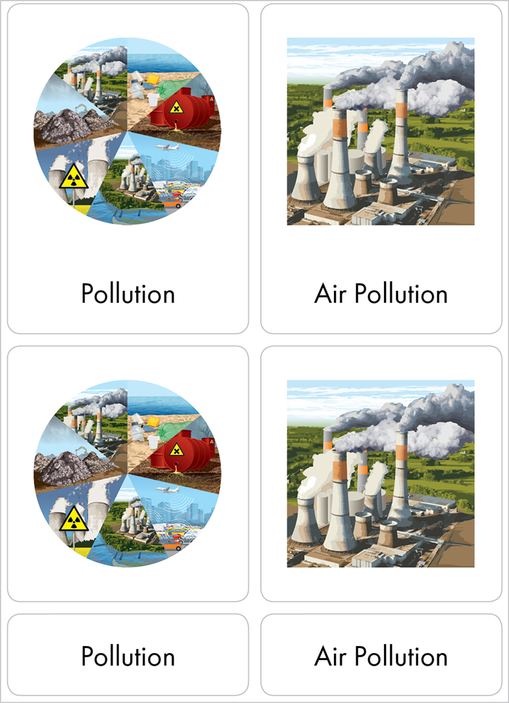 Types of Pollution Puzzle with Nomenclature Cards (3-6)