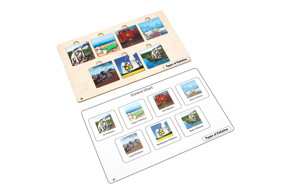 Types of Pollution Puzzle with Nomenclature Cards (6-9)