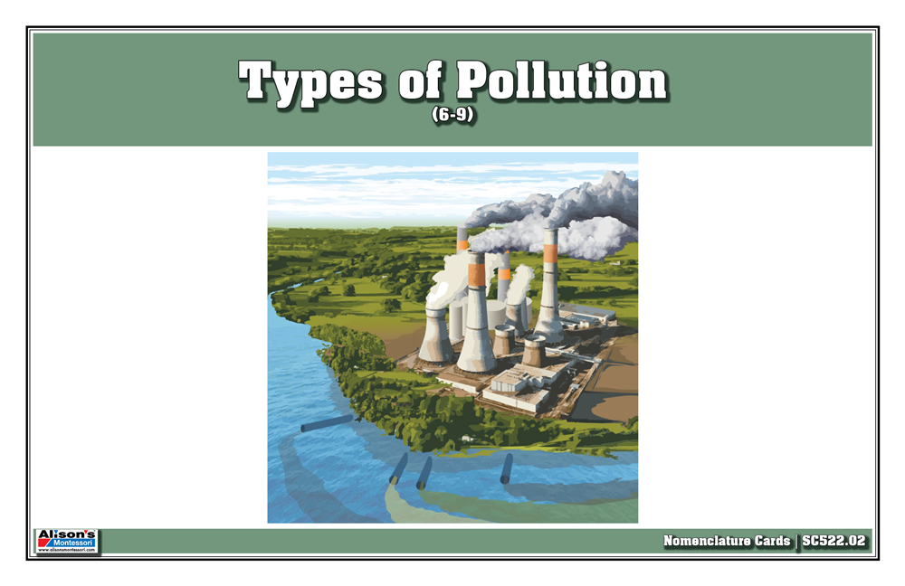 Types of Pollution Puzzle with Nomenclature Cards (6-9)