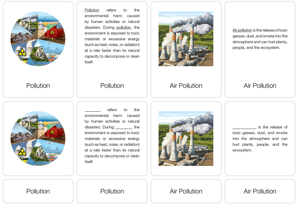 Types of Pollution Puzzle with Nomenclature Cards (6-9)