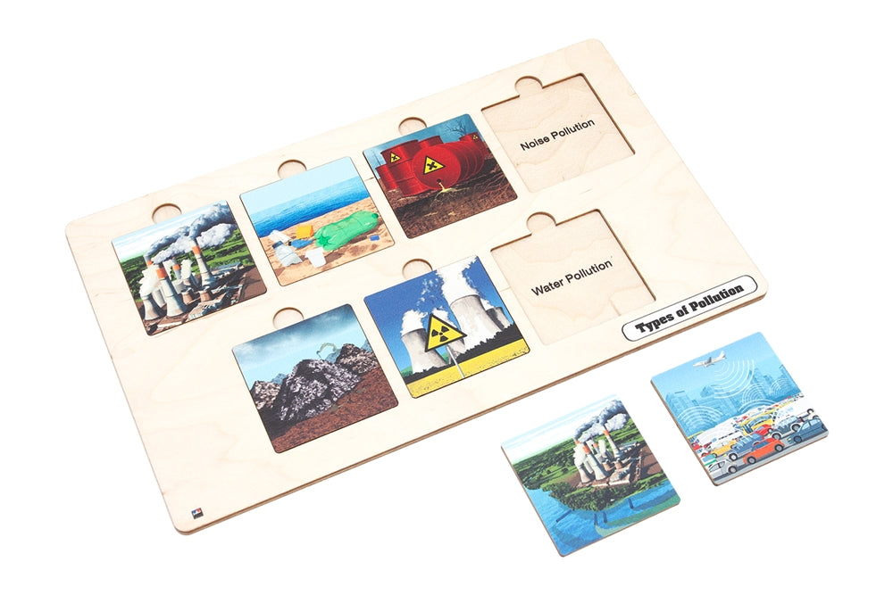 Types of Pollution Puzzle