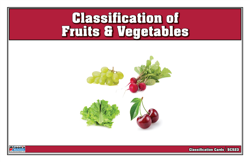 Classification of Fruits & Vegetables (Printed)