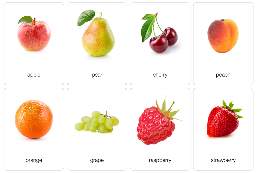 Classification of Fruits & Vegetables (Printed)