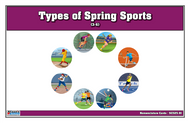Types of Spring Sports Nomenclature Cards 3-6 (Printed)