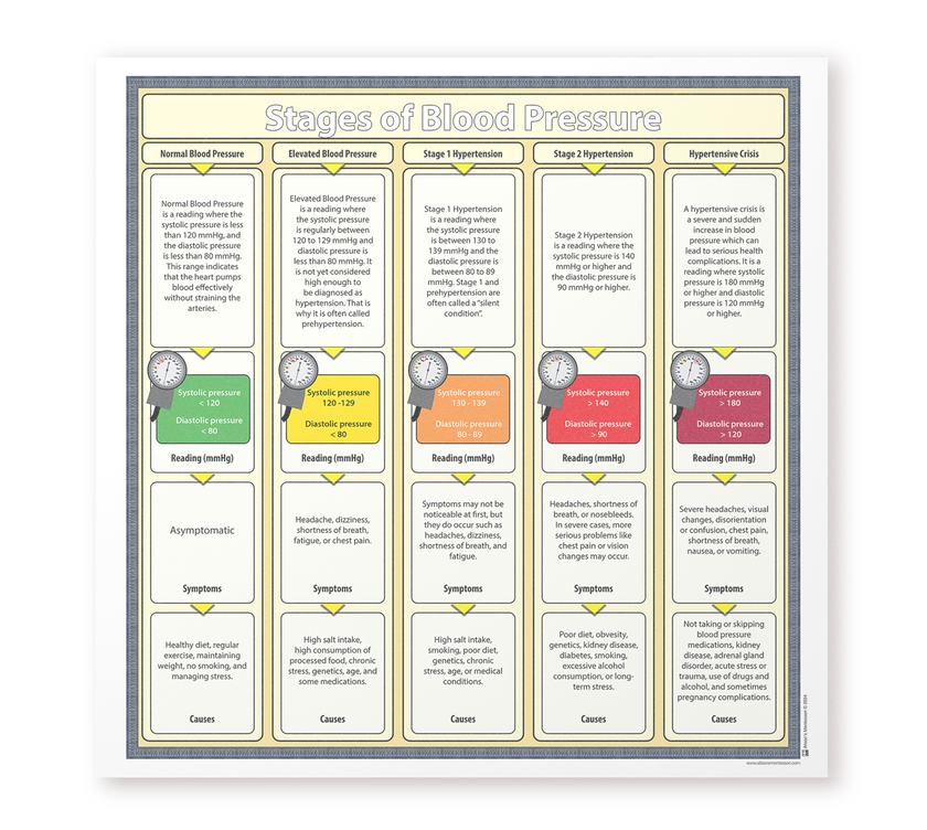 Stages of Blood Pressure Charts with Labels