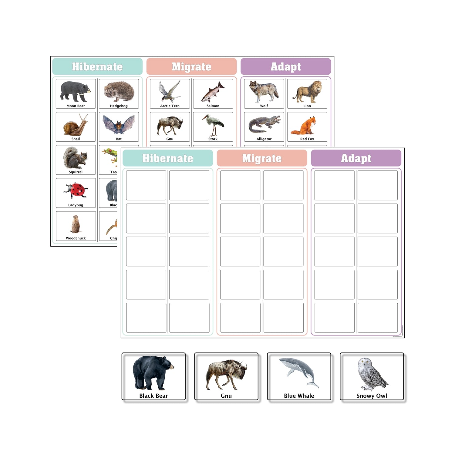 Hibernate, Migrate, and Adapt Charts with Cards