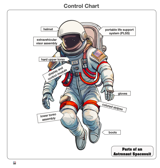 Parts of an Astronaut Spacesuit with Nomenclature Cards (3-6)
